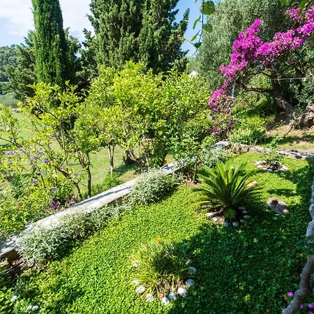 Casa de hóspedes Kanjuo Mlini